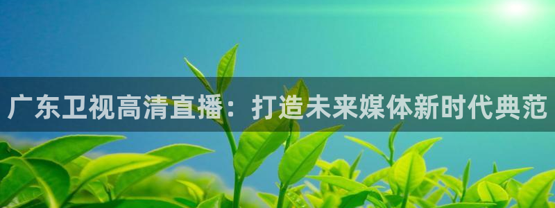 乐球直播nba免费观看：广东卫视高清直播：打造未来媒体新时代典范