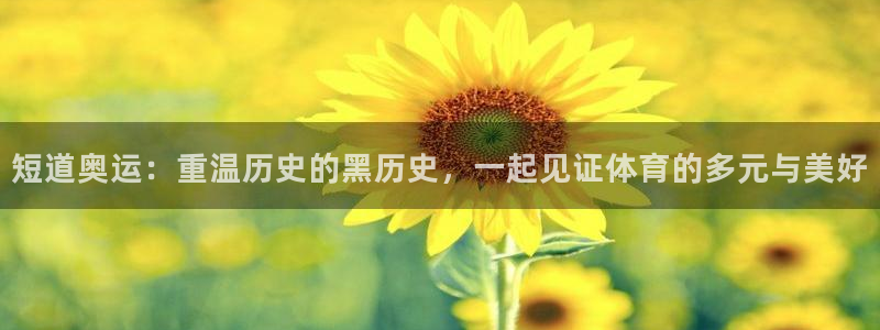 乐球直播免费高清观看：短道奥运：重温历史的黑历史，一起见证体育的多元与美好