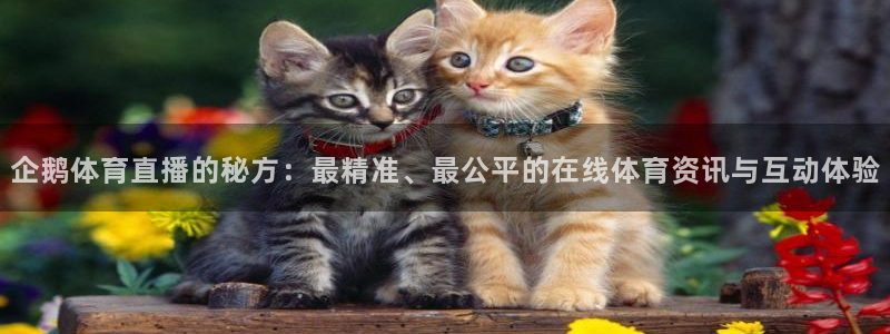 乐球直播间：企鹅体育直播的秘方：最精准、最公平的在线体育资讯与互动体验