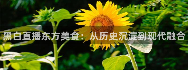 nba乐球直播吧：黑白直播东方美食：从历史沉淀到现代融合