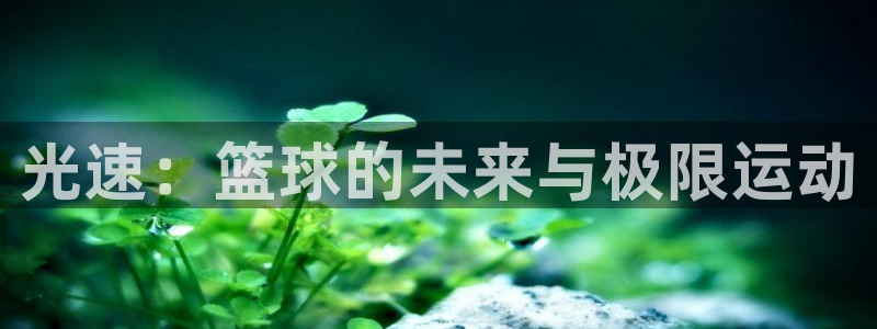 乐球直播无插件在线观看：光速：篮球的未来与极限运动