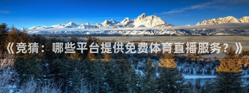 乐球吧jrs免费直播：《竞猜：哪些平台提供免费体育直播服务？》