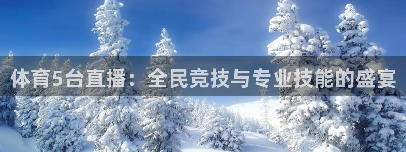 乐球直播平台：体育5台直播：全民竞技与专业技能的盛宴
