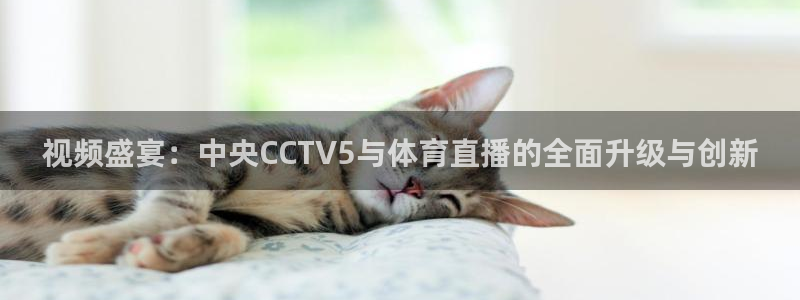 乐球直播app在线直播