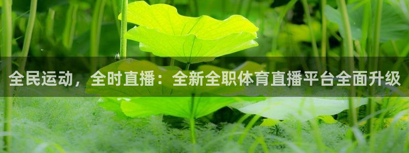 乐球直播在线播放