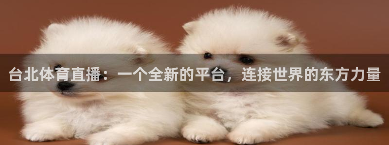 乐球吧免费体育直播：台北体育直播：一个全新的平台，连接世界的东方力量