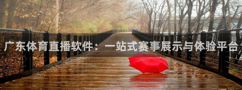 乐球直播篮球