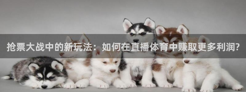 乐球直播即时直播