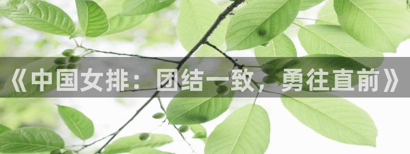 乐球直播免费体育直播下载：《中国女排：团结一致，勇往直前》
