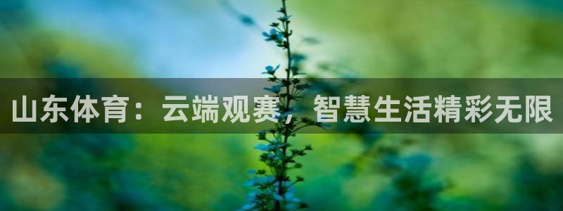 乐球体育直播免费在线观看：山东体育：云端观赛，智慧生活精彩无限